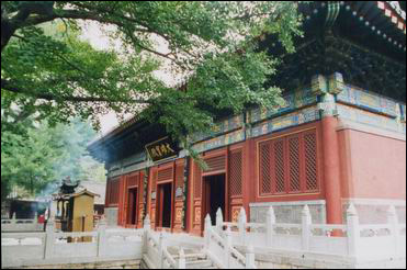 �t�����L(f��ng)���D