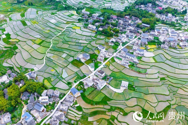 �����F�(y��ng)�л�Ϫ�^(q��)��������������W(w��ng)ӛ�� Ϳ���z